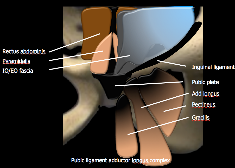 Medical image